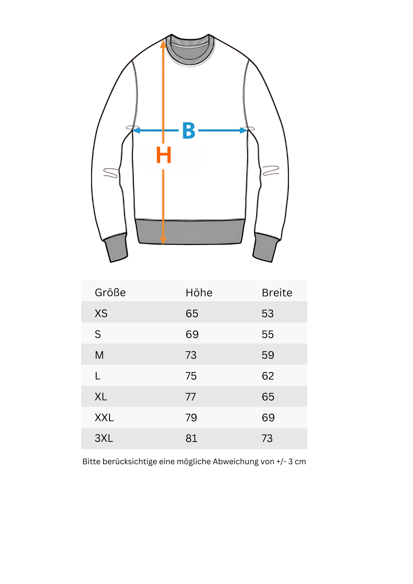 SWEATSHIRT "B"